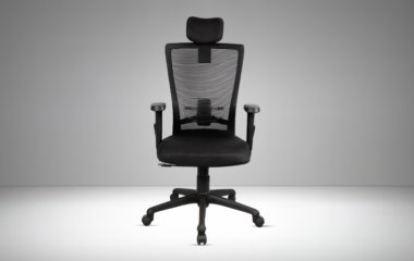 What Makes a Mesh Office Chair in Delhi So Popular Among Professionals
