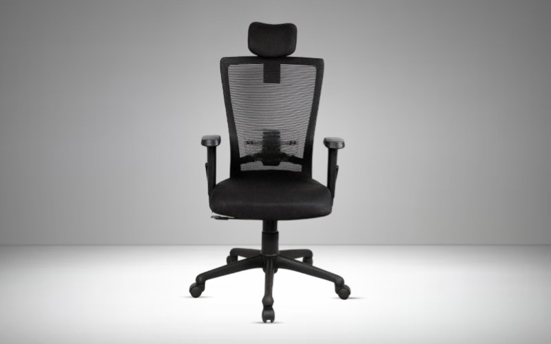 What Makes a Mesh Office Chair in Delhi So Popular Among Professionals?