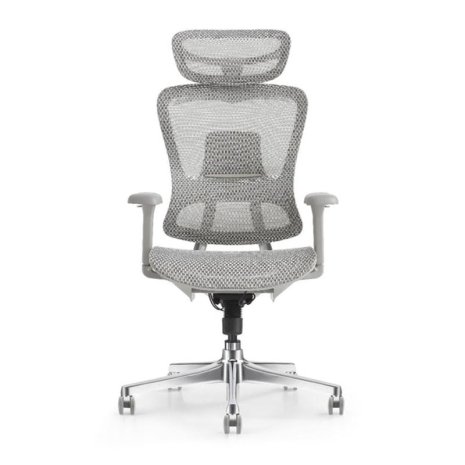 High Back Ergonomic Office Chair Mesh Adjustable Lumbar Support Chair Manufacturers, Suppliers in Delhi