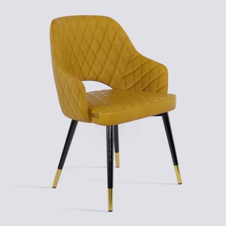 Lightweight Lounge Chair For Home And Office Use Manufacturers, Suppliers in Delhi